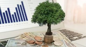 Инвестиции плюсы и минусы